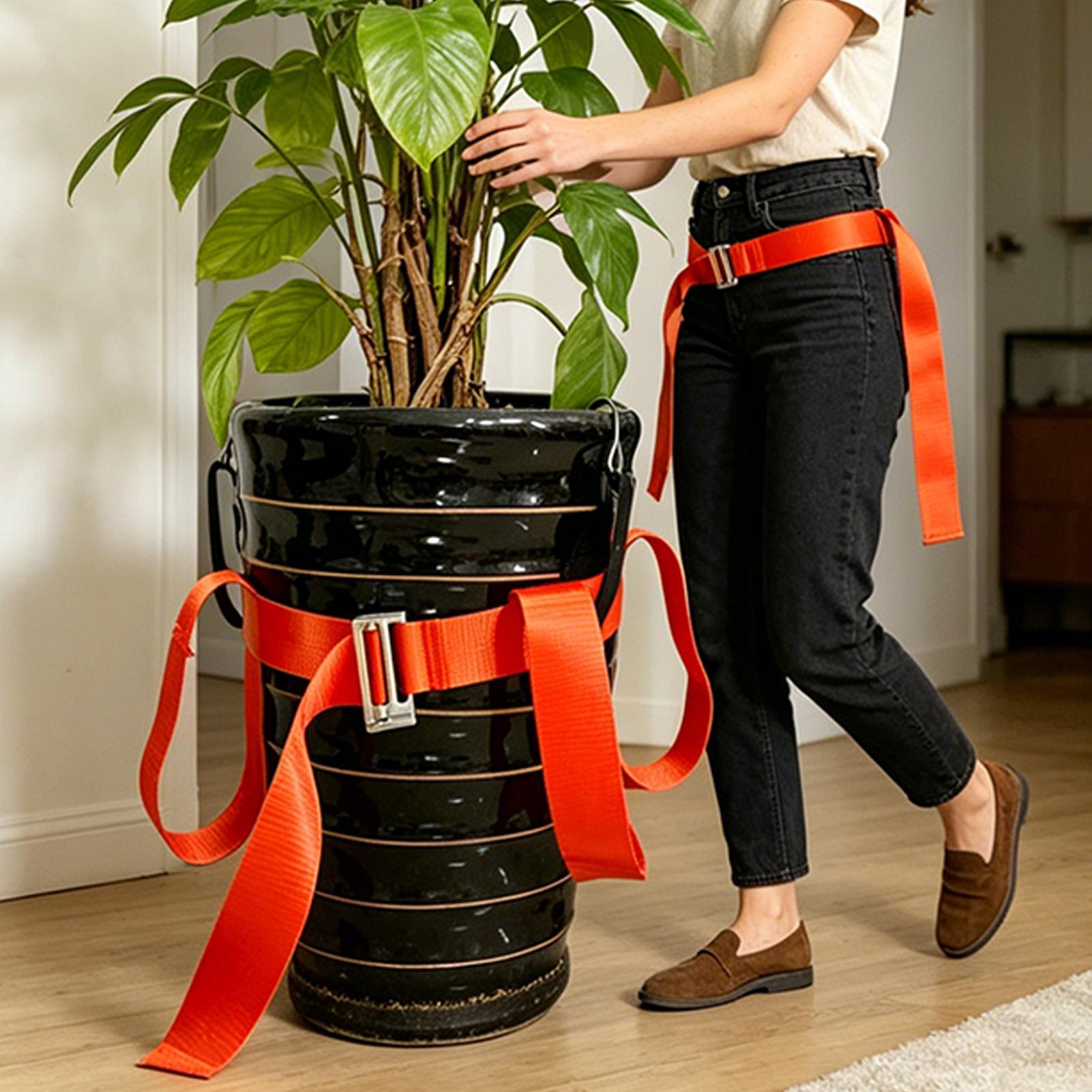 Landscaping Lifting Strap Pott - đánh giá và giá Lifting Belt
