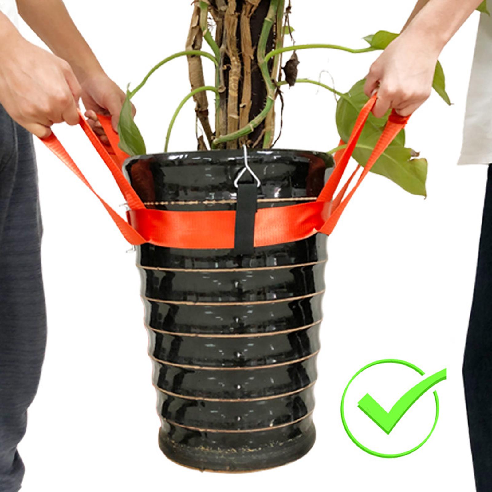 Landscaping Lifting Strap Pott - đánh giá và giá Lifting Belt